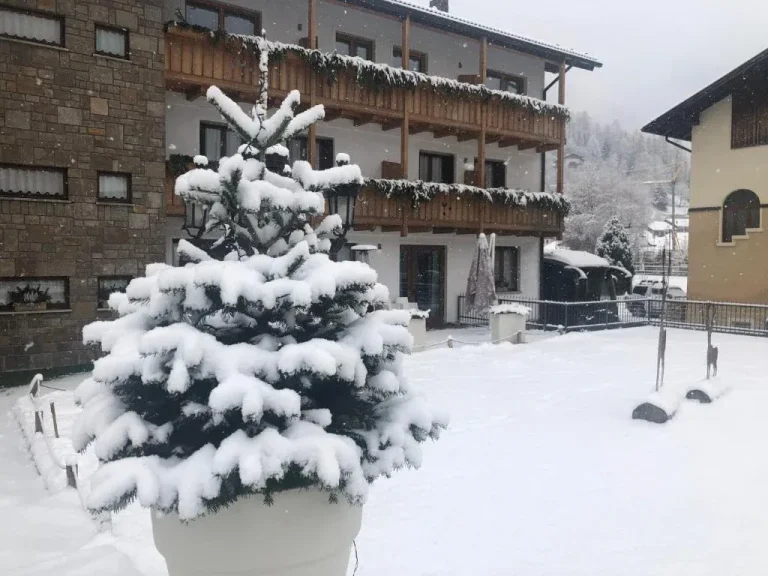 Zimmeransicht im Olympic Regina Hotel