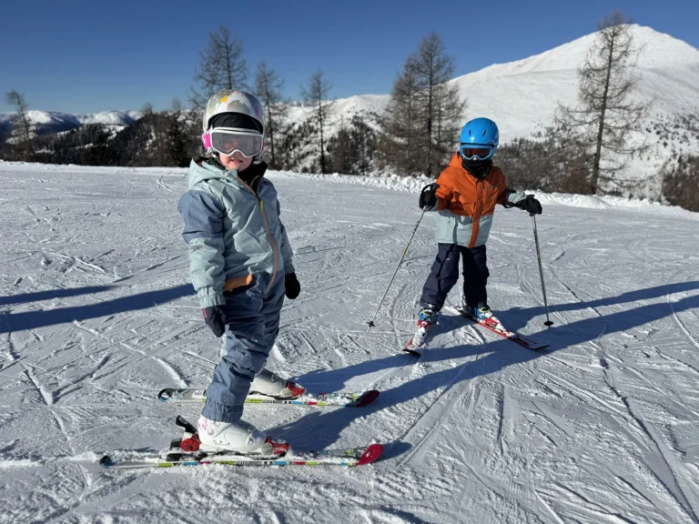 Ansicht aus dem Familienhotel Gasthof Hinteregger