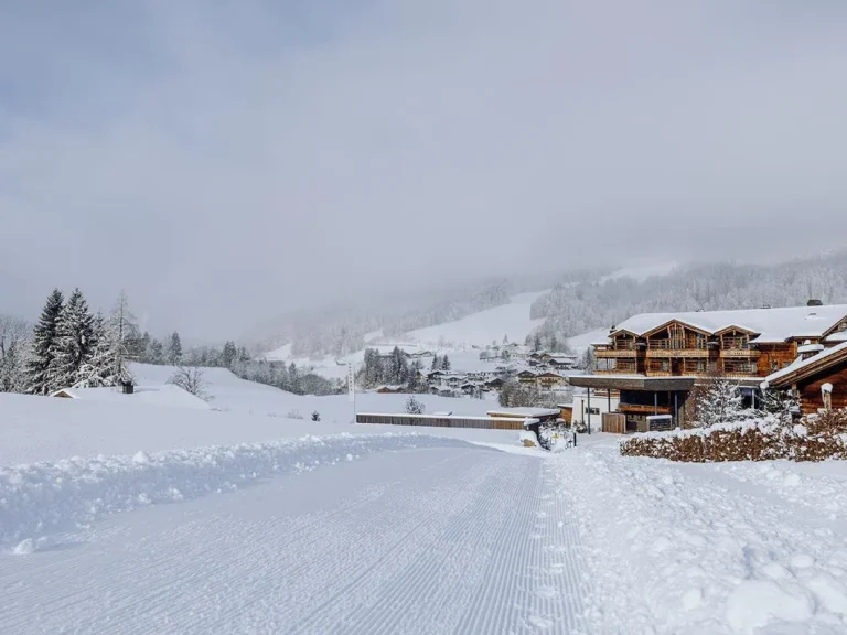 Winterlandschaft am Naturresort PURADIES