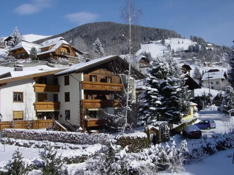 Pension Steinwender im Winter
