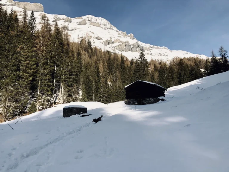 Winteraktivitäten beim Hotel Regina Terme