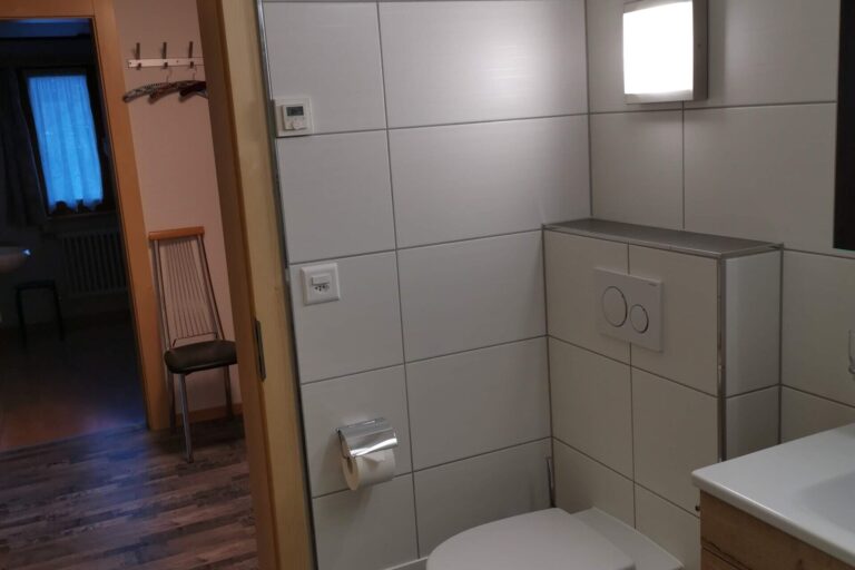Modernes WC
