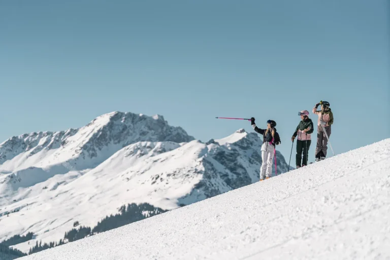 Skigebiet in der Nähe der Pension Tannenhof