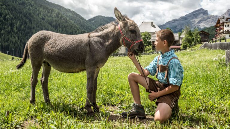 Kind streichelt einen Esel