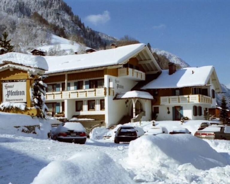 Haus Platina in St. Gallenkirch