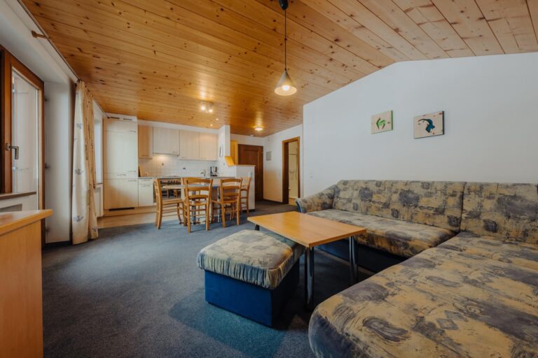Haus Platina in St. Gallenkirch