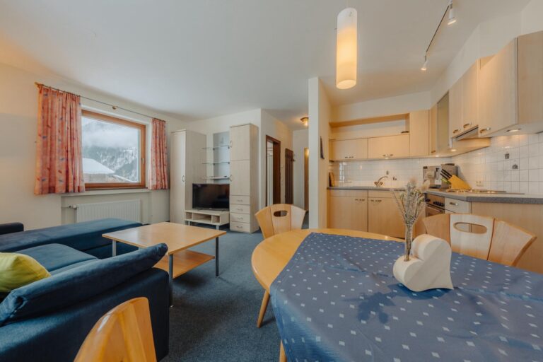 Haus Platina in St. Gallenkirch