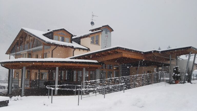 Eingang bei Schneefall