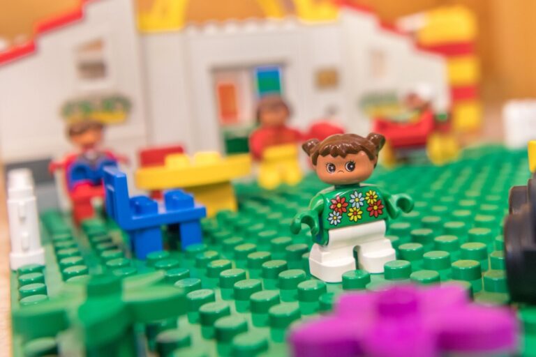 Kinderspielzeug und Lego im Schwalbennest